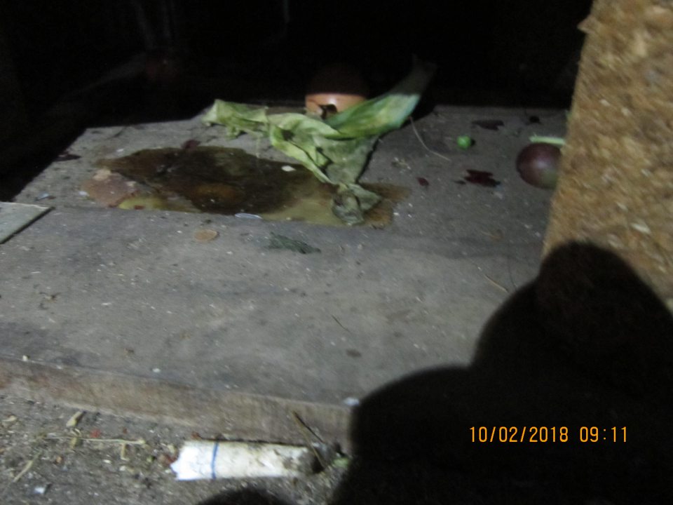 Na príjmovej rampe v priestore uskladnenia nádob určených na VŽP a bioodpad sú na podlahe pod paletami zbytky potravín, kúsky kartónov a zhluky prachu