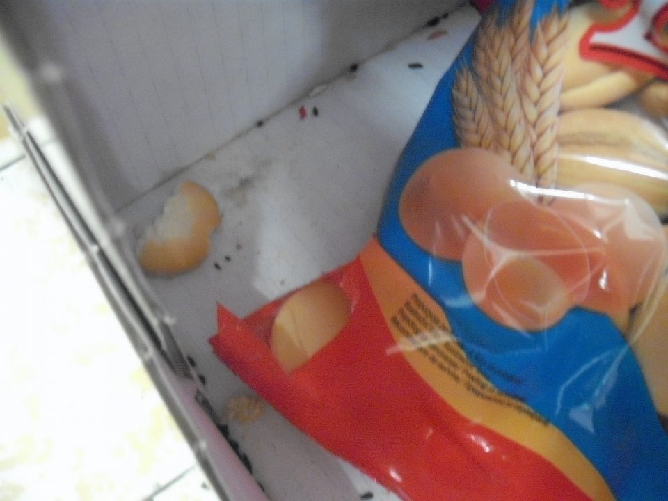 V kartóne s piškótami trus hlodavcov, porušený obal so znakmi požeru