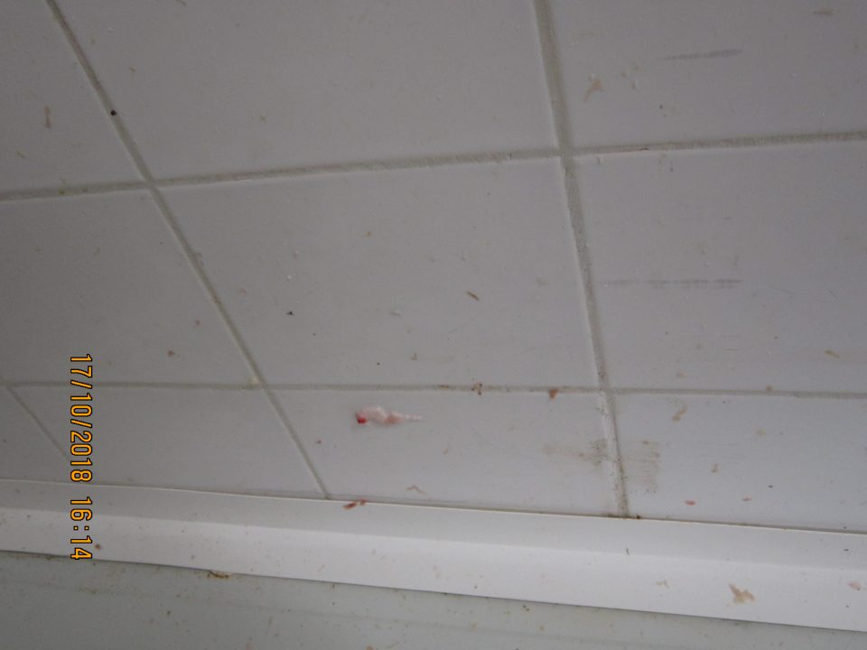 Stena v rozrábkarni silne znečistená zvyškami mias.