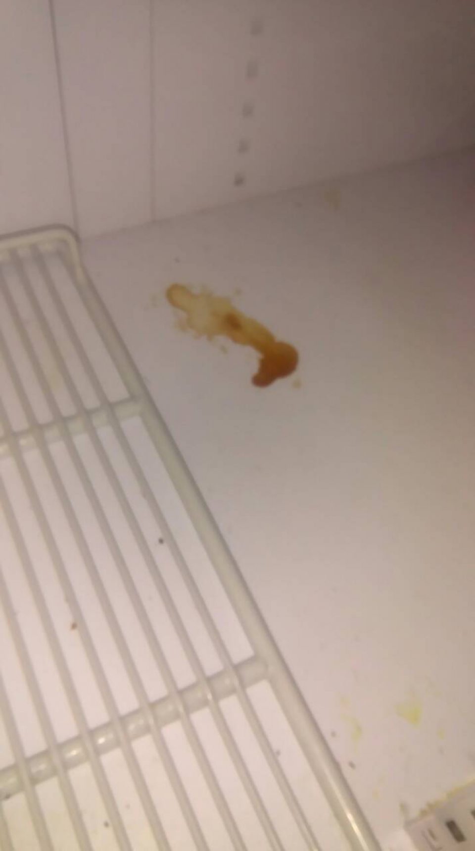 Chladiaca vitrína v skladových priestoroch - znečistená úložná plocha.