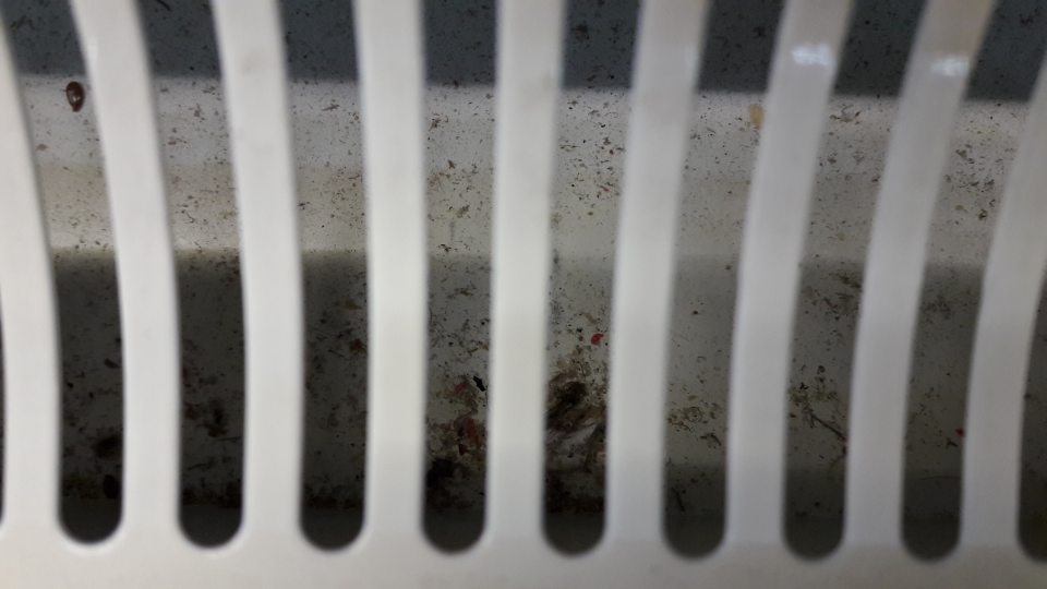 V chladiacej vitríne s mliečnymi výrobkami - znečistený priestor pod mriežkou.