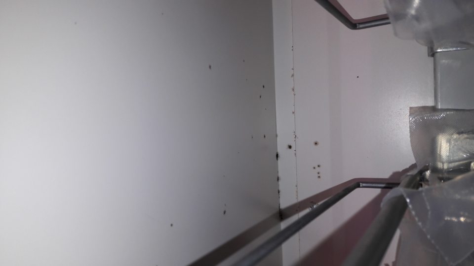 V chladiacej vitríne mäsových výrobkov - znečistenie, výskyt plesne.