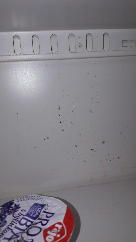 Chladiaca vitrína mliečnych výrobkov - znečistená, výskyt plesne.