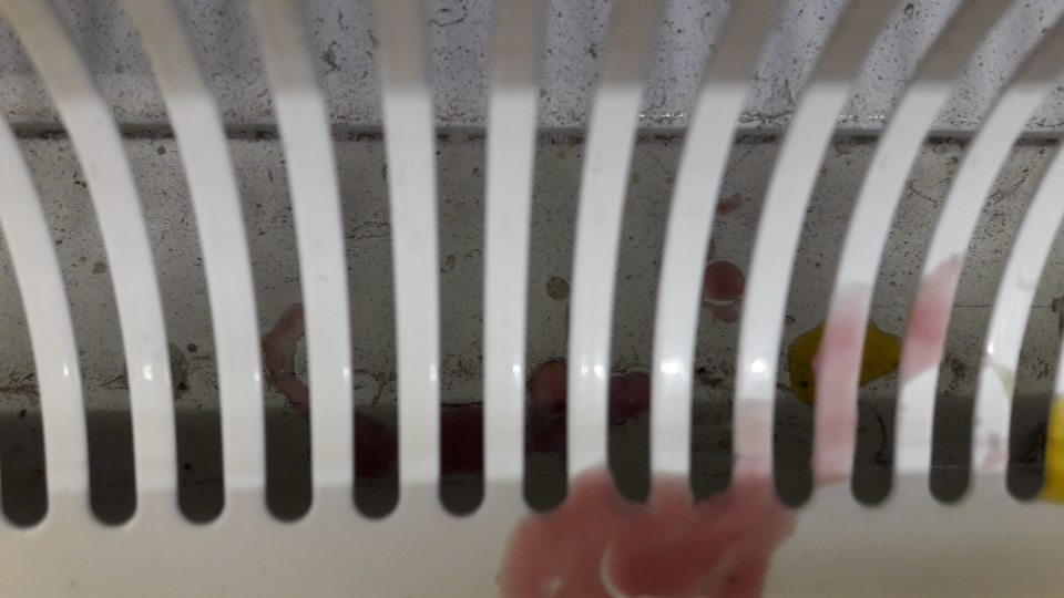 V chladiacej vitríne s mliečnymi výrobkami znečistený priestor pod mriežkou.