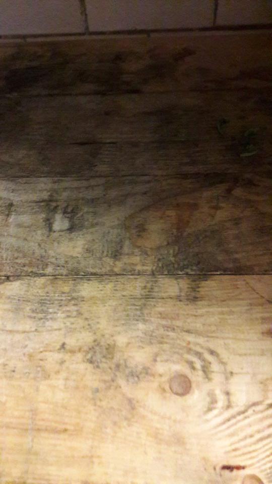 V chladiacom boxe s ovocím a zeleninou - znečistené regály s výskytom plesne.