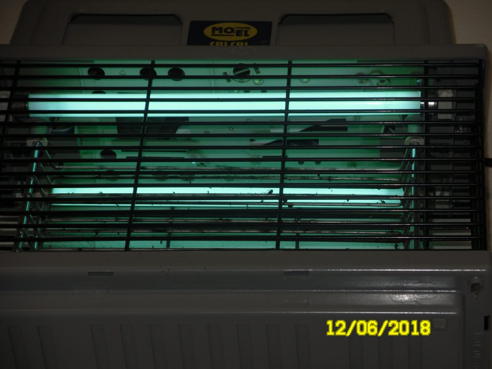 Zistený znečistený lapač hmyzu, umiestnený nad vitrínou s uchovávaným čerstvým mäsom a mäsovými výrobkami.