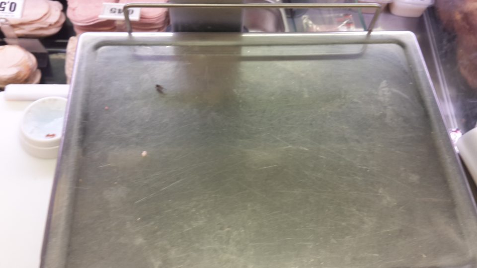 výskyt lietajúcich aj lezúcich múch na úseku M-Ú.