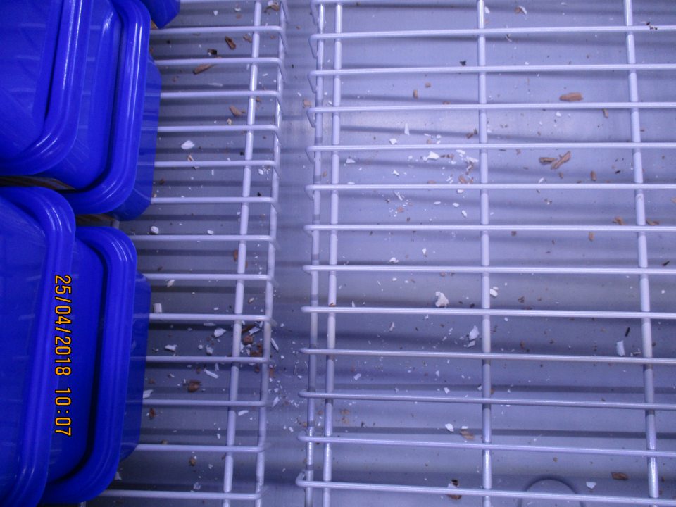 Voda a nečistoty v  mrazničke.