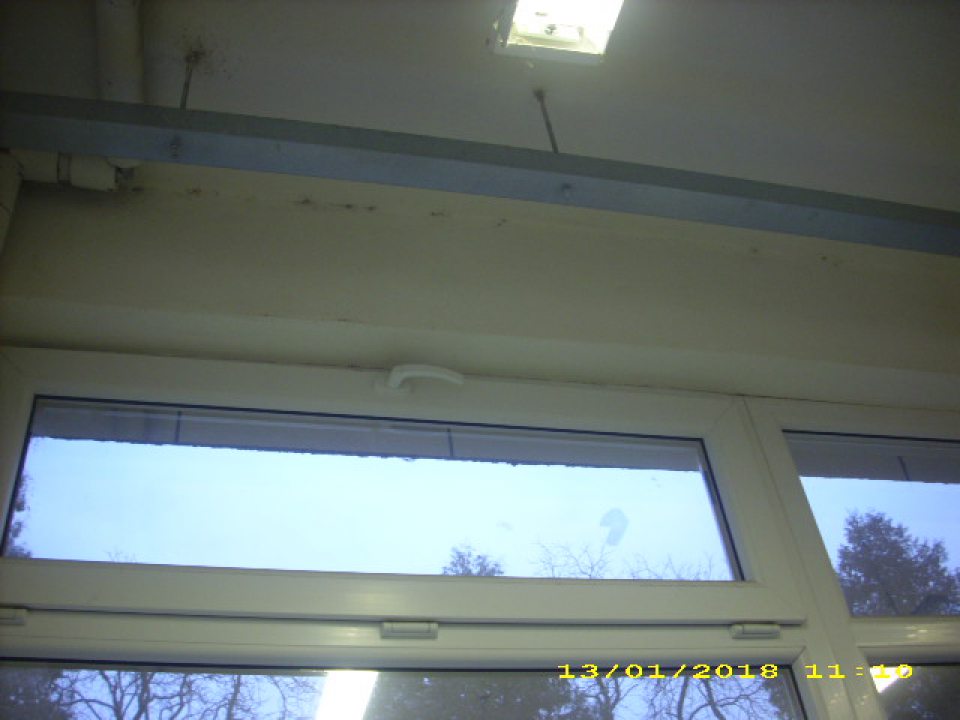 Nad regálom liehovín v prevádzke výskyt pavučín, nečistôt a začínajúcej plesne v rohoch stien a stropu.