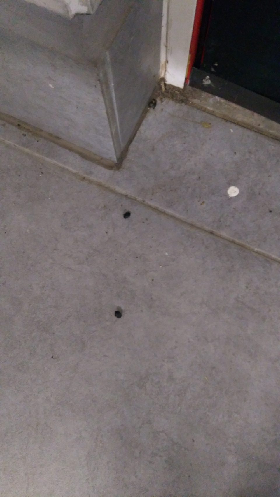 výskyt hmyzu (chrobáky veľkosti kávových zŕn) na predajnej ploche