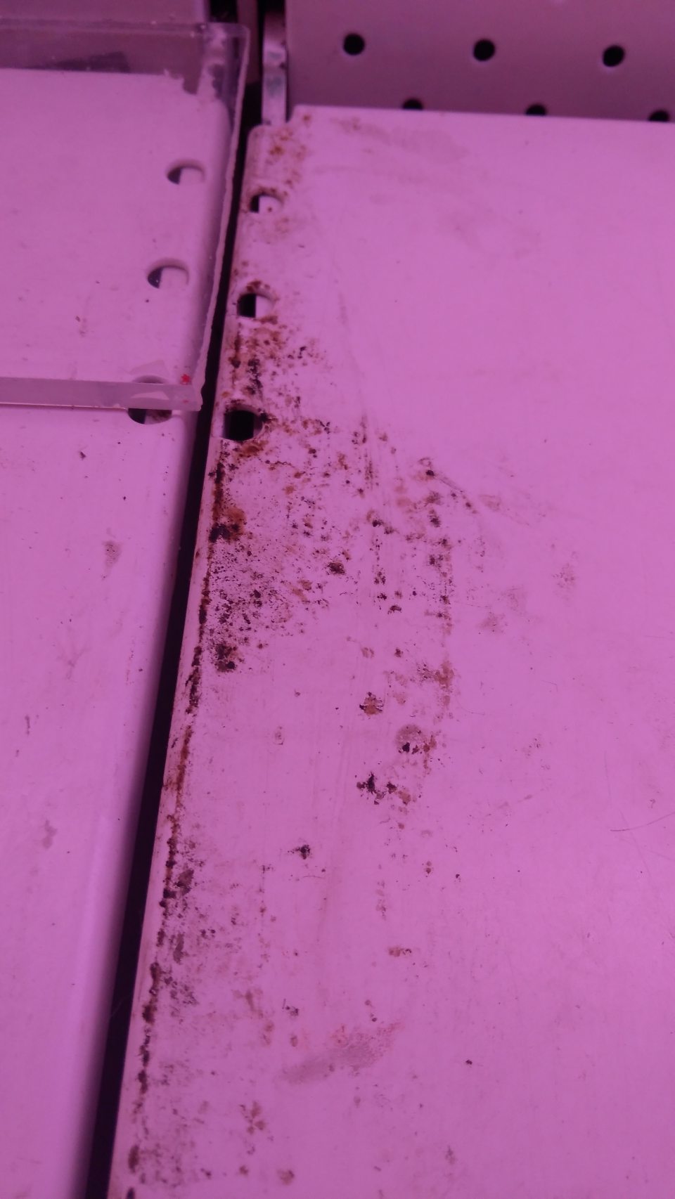 Znečistenie regálov