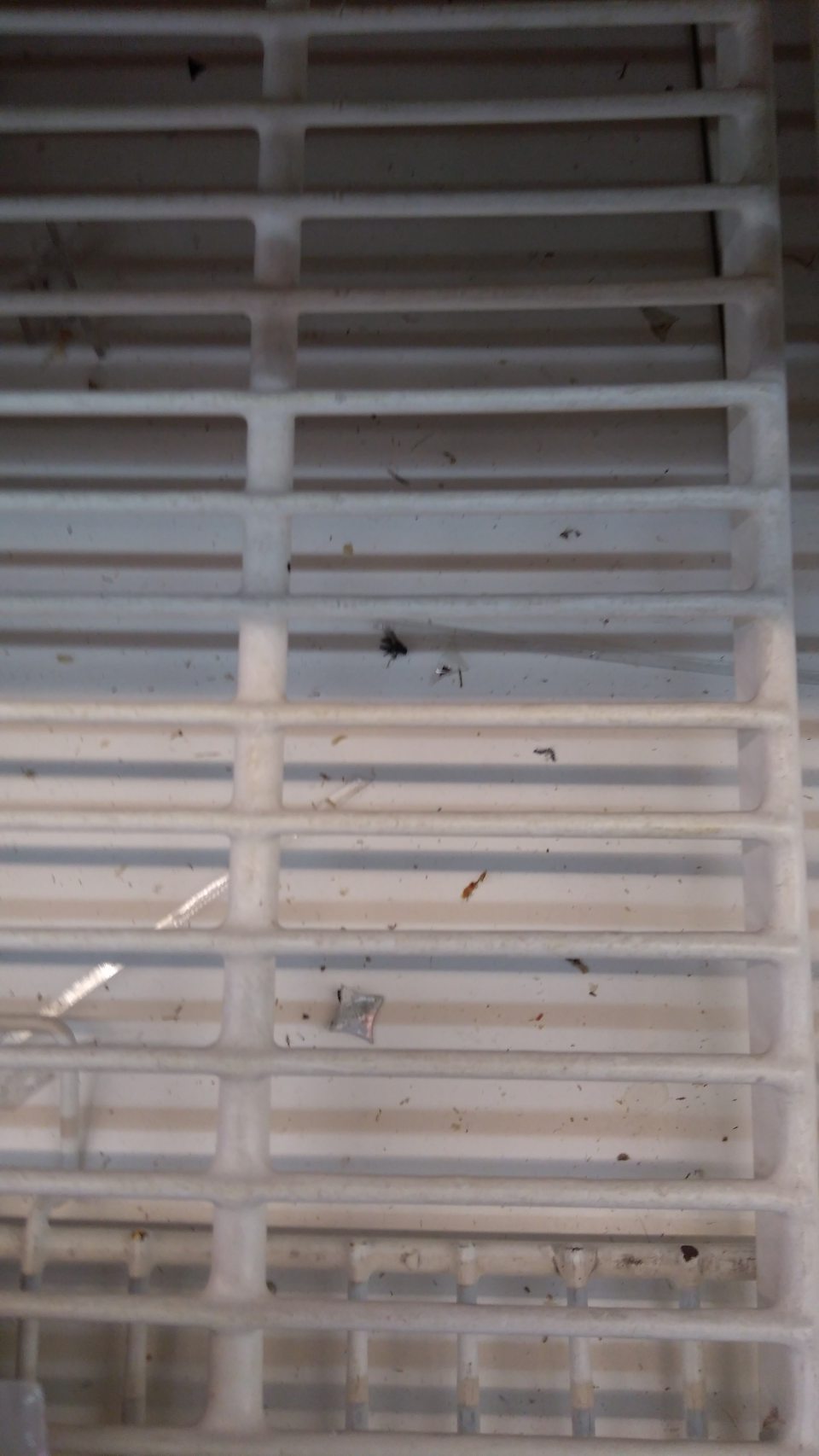 Znečistenie chladiacej vitríny pod mriežkou obslužnej vitríny.