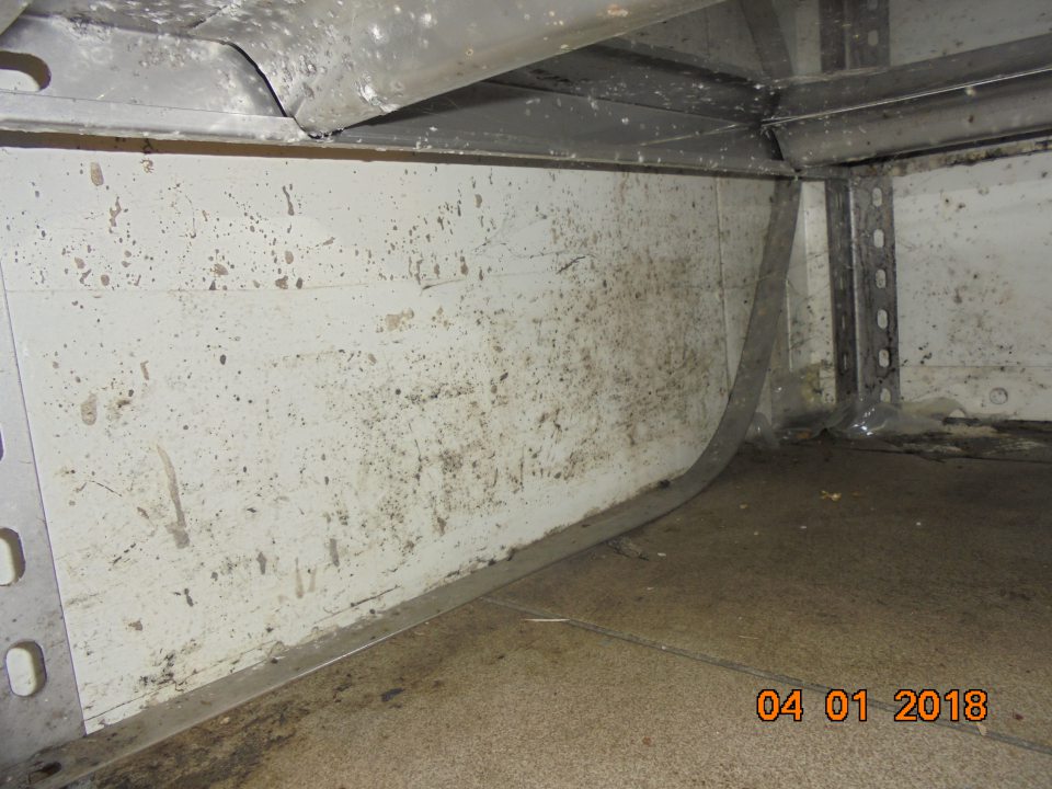 Znečistenie a výskyt plesní v sklade so zeleninou.