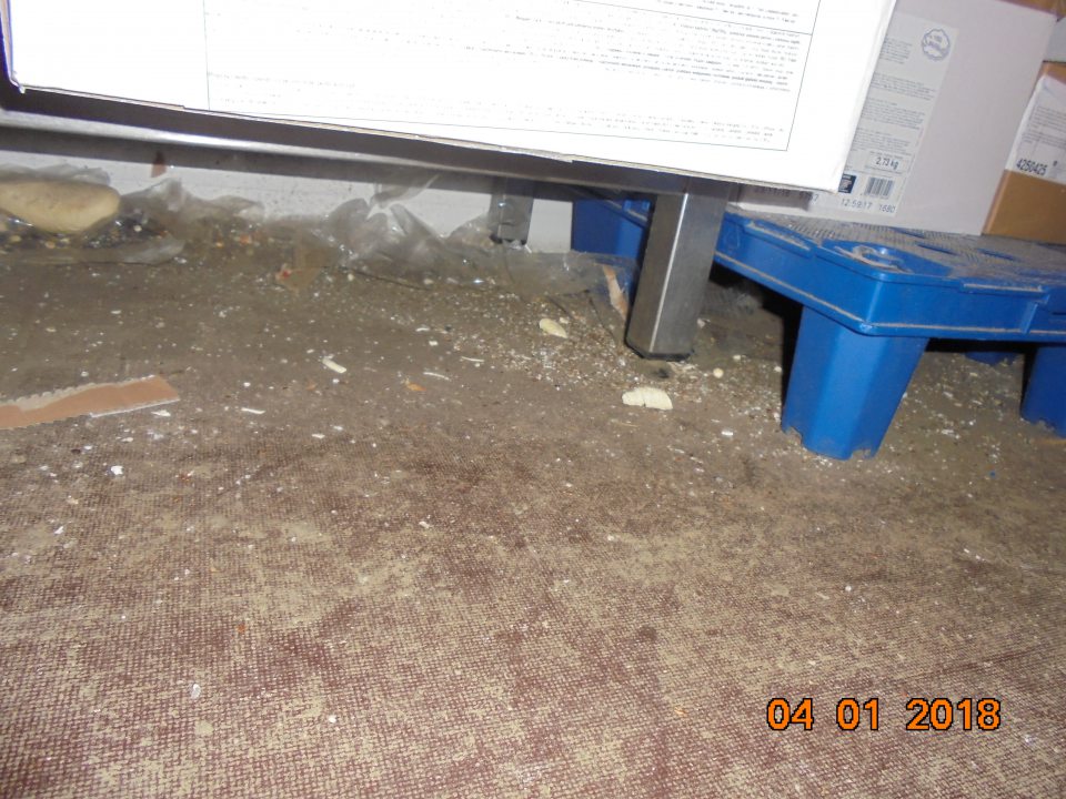 Znečistenie podlahy v mraziacom sklade s hlbokozmrazenými pekárenskými polotovarmi.