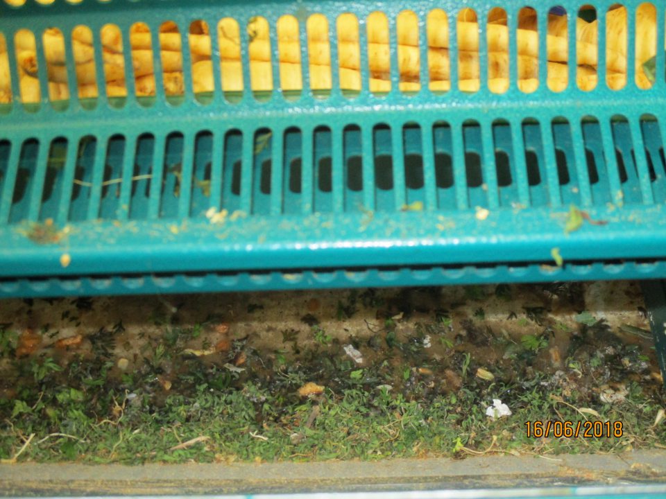 Znečistené chladiace zariadenie na predaj zeleniny.