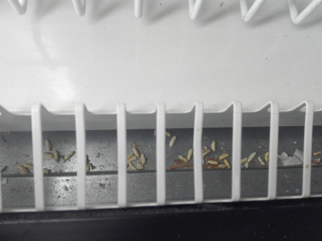 Mraziace zariadenia znečistené prachom, zvyškami uložených potravín a obalovým materiálom.