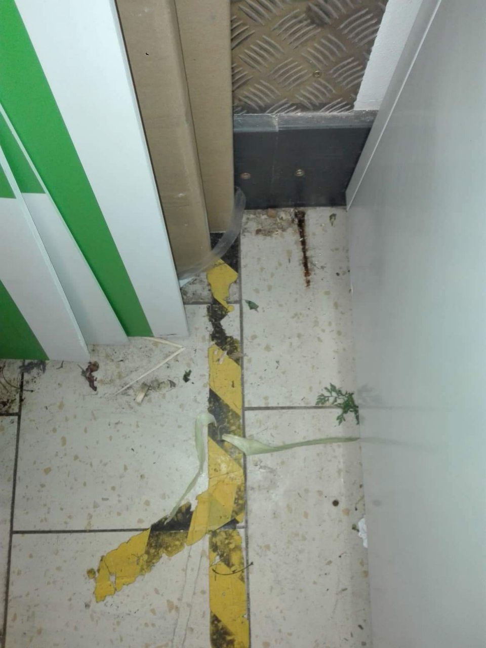 Nedostatočná hygiena v skladovacích priestoroch.