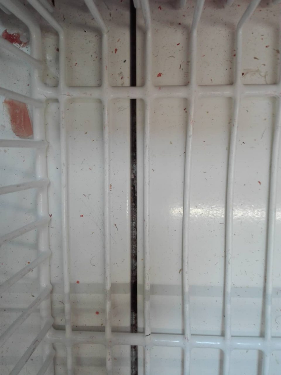 V súvislom podlhovastom mraziacom zariadení, v časti, kde sa nachádzala hlbokozmrazená hydina a hlbokozmrazené polotovary, bola celá spodná plocha znečistená zvyškami obalového materiálu, vytečeným obsahom potravín, zvyškami potravín a inými nečistotami.