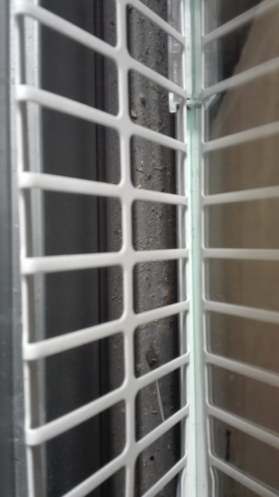 Mraziace zariadenia s blbokzmrazenými zemiakovými polotovarmi pod mriežkou znečistené prachom.