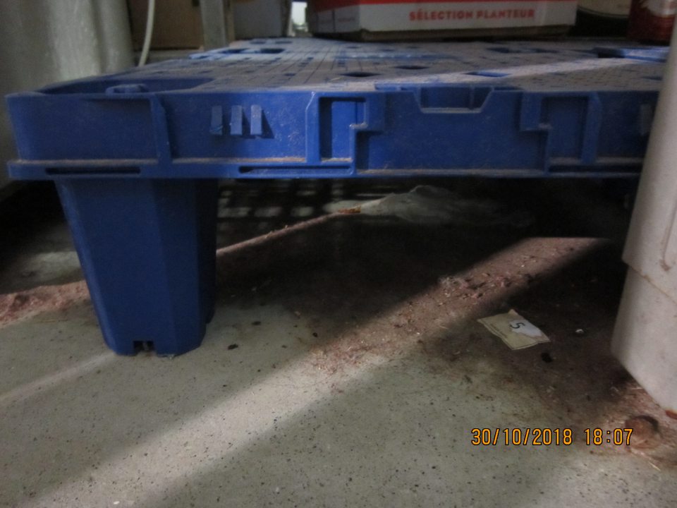 Hrubé nečistoty pod paletami v priestore automatu na fľaše