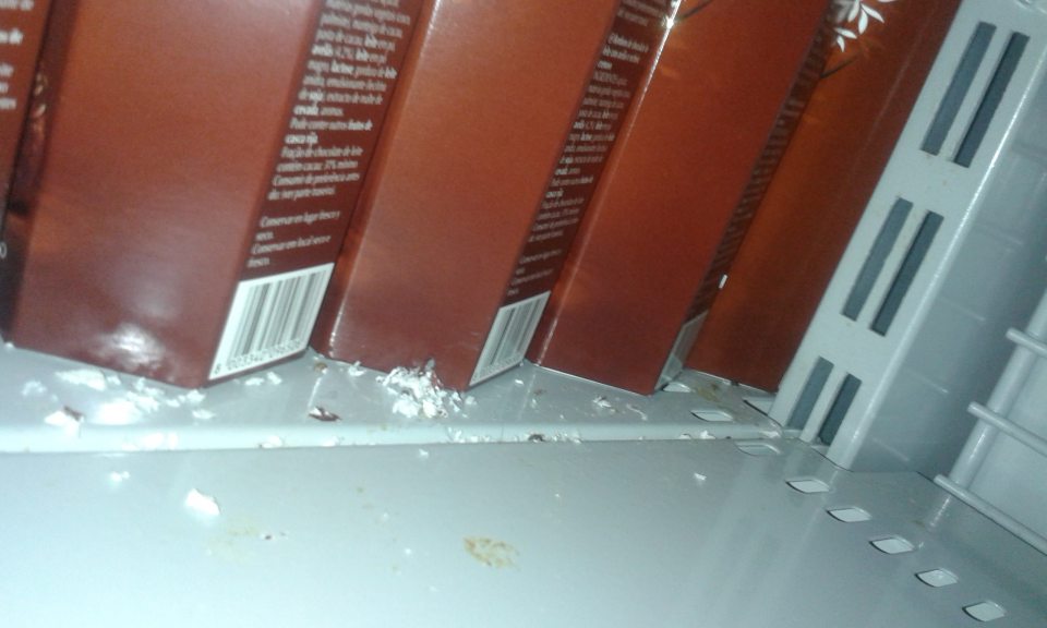 Znaky prítomnosti hlodavcov v predajni