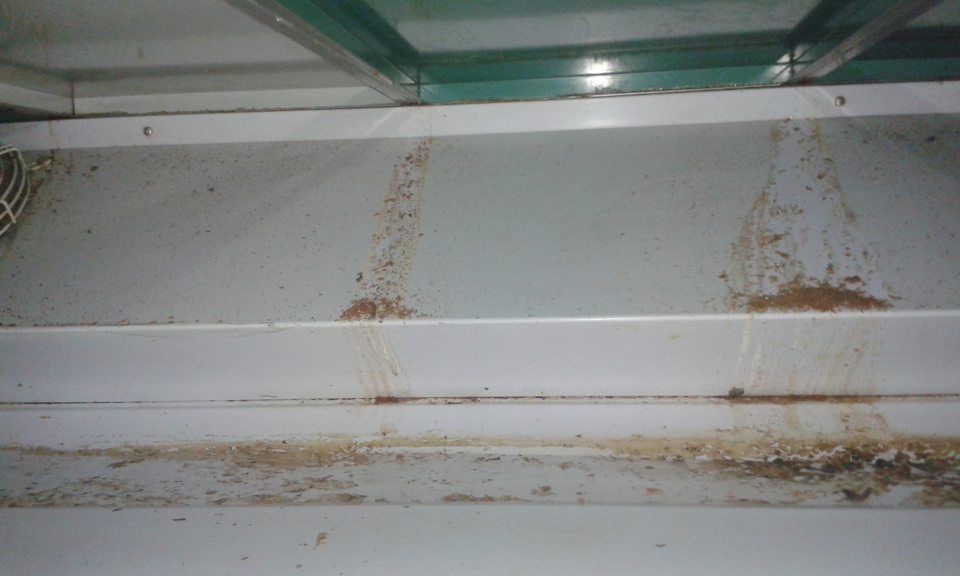 Zatečené chladiace zariadenie v predajni 