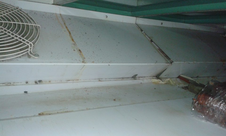 Znečistené chladiace zariadenie v predajni s výskytom uhynutého hmyzu 