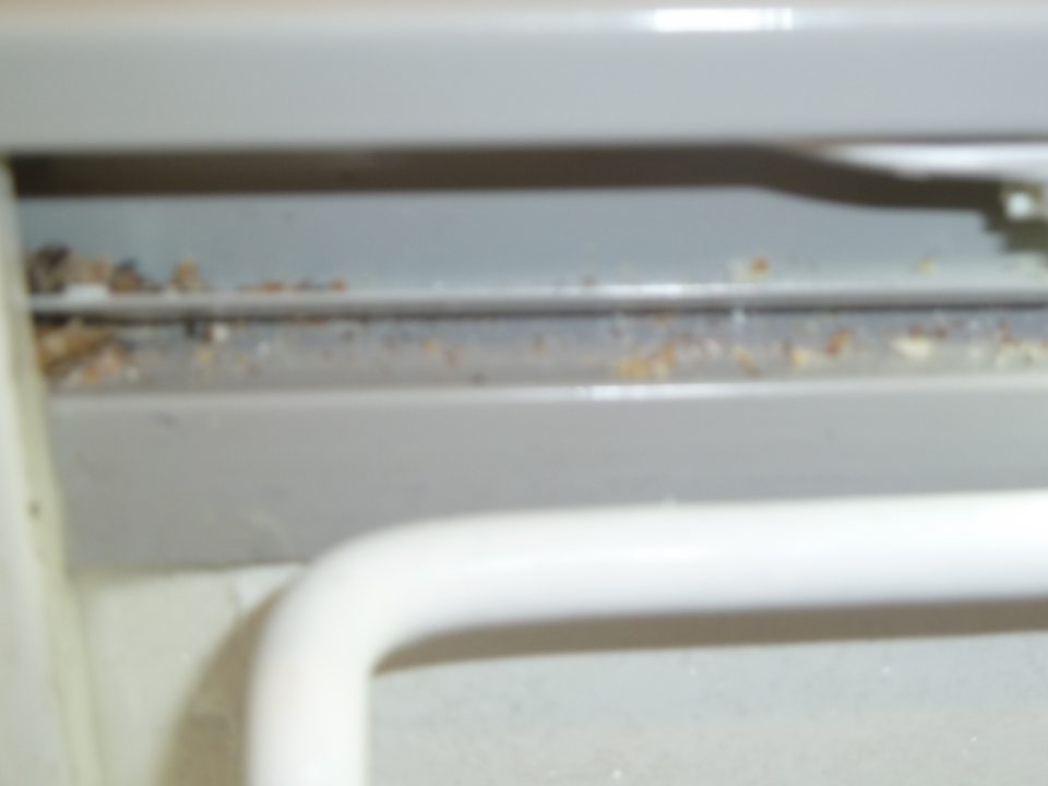 Znečistenie v zasúvacích dráhach horného krytu mraziaceho zariadenia pre hlbokozmrazenú zeleninu.