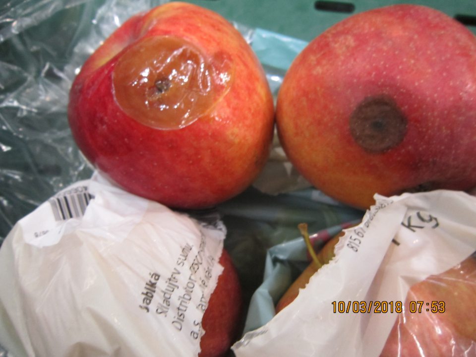 Predaj nahnitých jabĺk, nevhodných na ľudskú spotrebu.