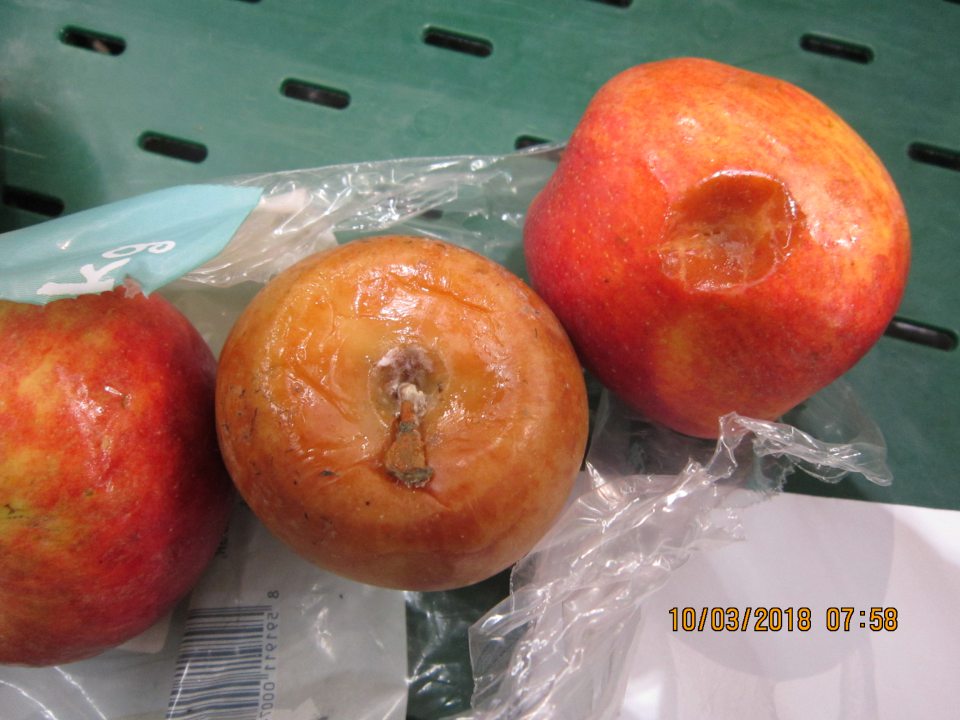 Predaj nahnitých jabĺk s výskytom plesne, nevhodných na ľudskú spotrebu.