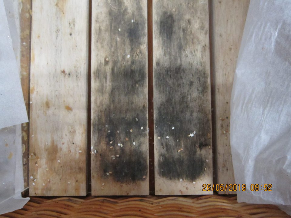 drevený ostrovček s uloženým pečivom pokryté čiernymi, sivými škvrnami, plesňou, navlhnuté