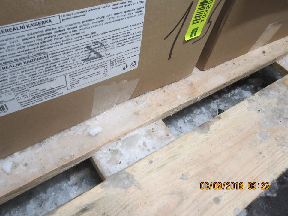 V zázemí prevádzky, v mraziacom boxe ľad pod paletou a napadané nečistoty.