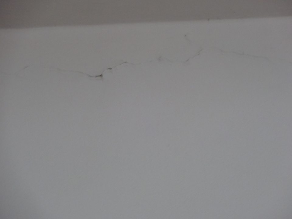 Popraskaná olupujúca omietka v predsieni WC ženy