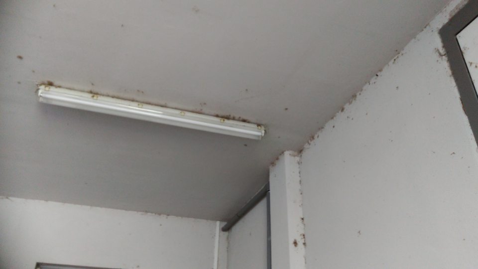 Znečistené steny a strop na nakladacej rampe na príjme potravín