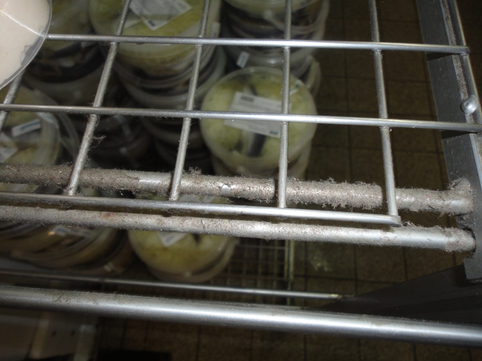 Znečistený povrch drôtených regálov mliečnych a rybacích výrobkov v Sklade mäso a pulty