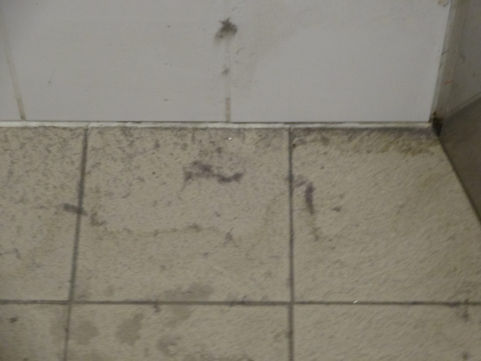 Zhluky prachu a znečistená podlaha v sklade čistiacich prostriedkov