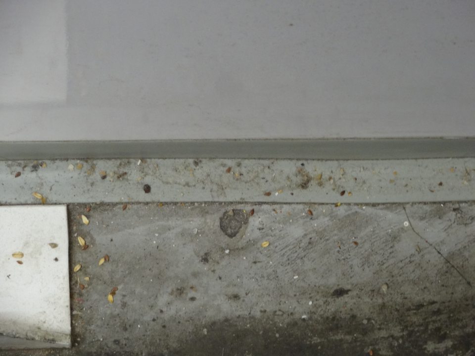  Nečistoty na podlahe v manipulačnej chodbe s mraziacimi boxmi