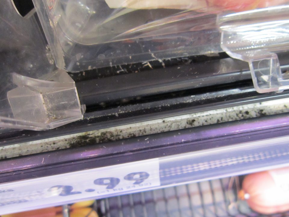 Na ložnej ploche a na ochranných lištách chladiaceho zariadenia bola zistená pleseň sivej a sivočiernej farby.