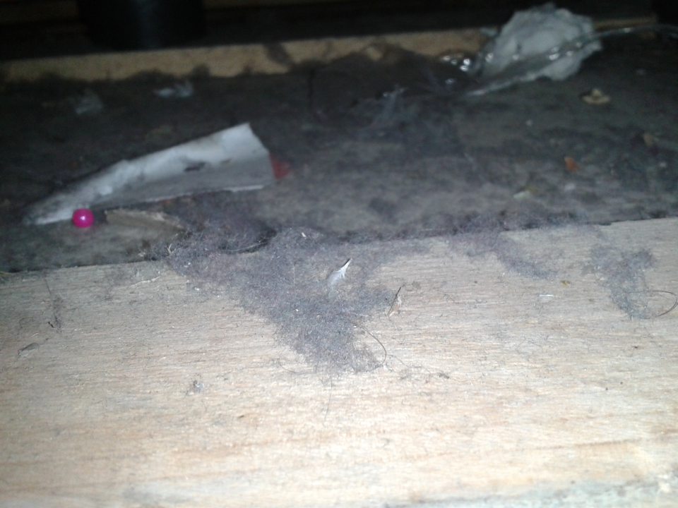 Znečistená podlaha na predajnej ploche