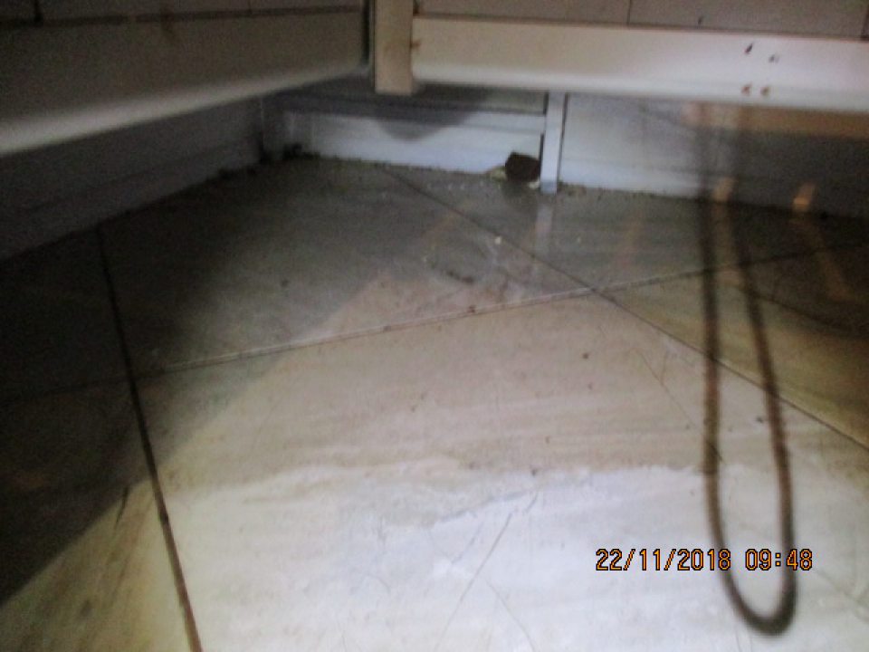  Zvýšený nános nečistôt - cukrárenské polovýrobky - na podlahe v chladiacom boxe.