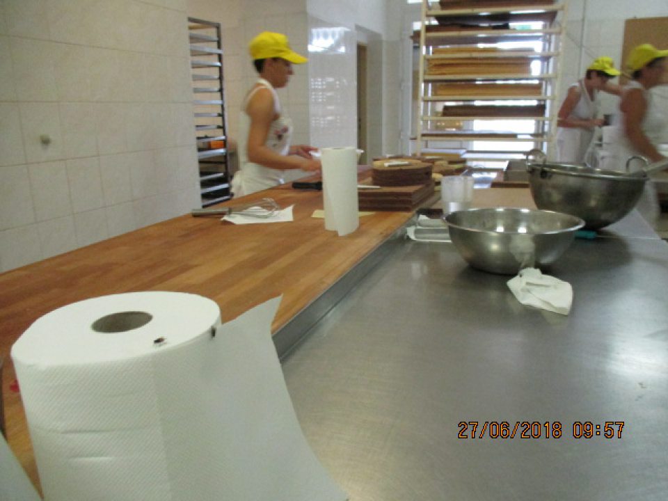 Výskyt poletujúcich múch.
