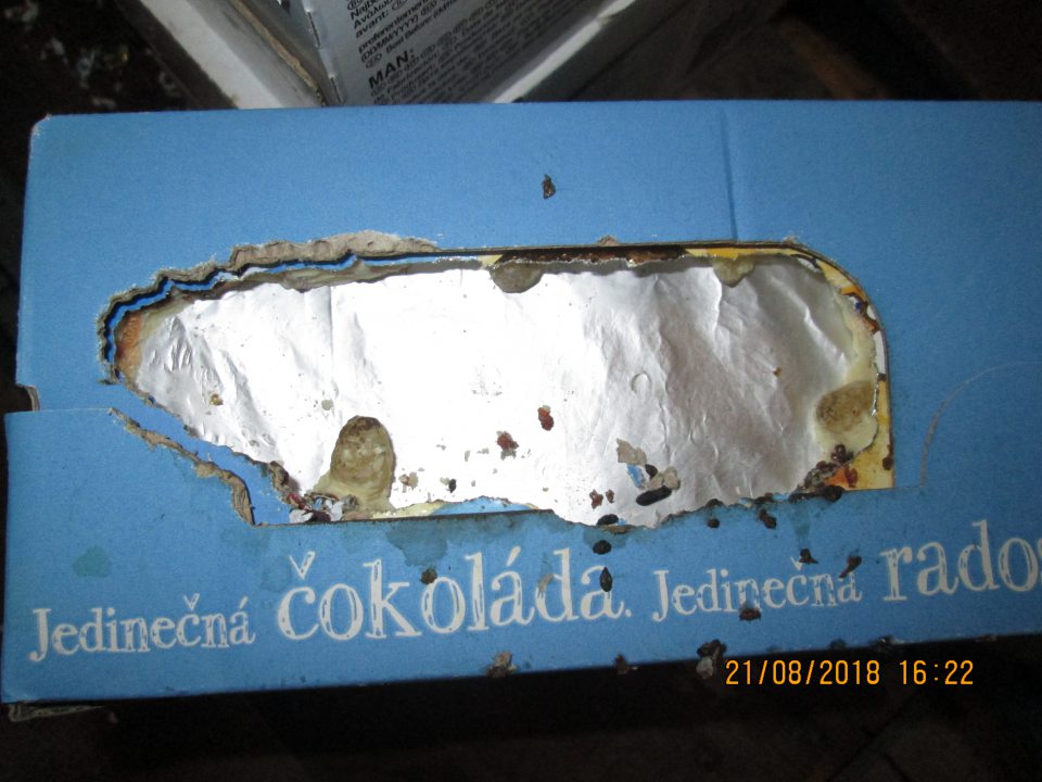  V zázemí prevádzky výskyt myšacieho trusu na uskladnenej čokoláde, za paletou s trvanlivým mliekom a trvanlivým pečivom, v tesnej blízkosti uhynutá myš 