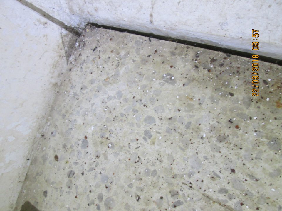 Výskyt trusu hlodavcov na viacerých miestach prevádzky.