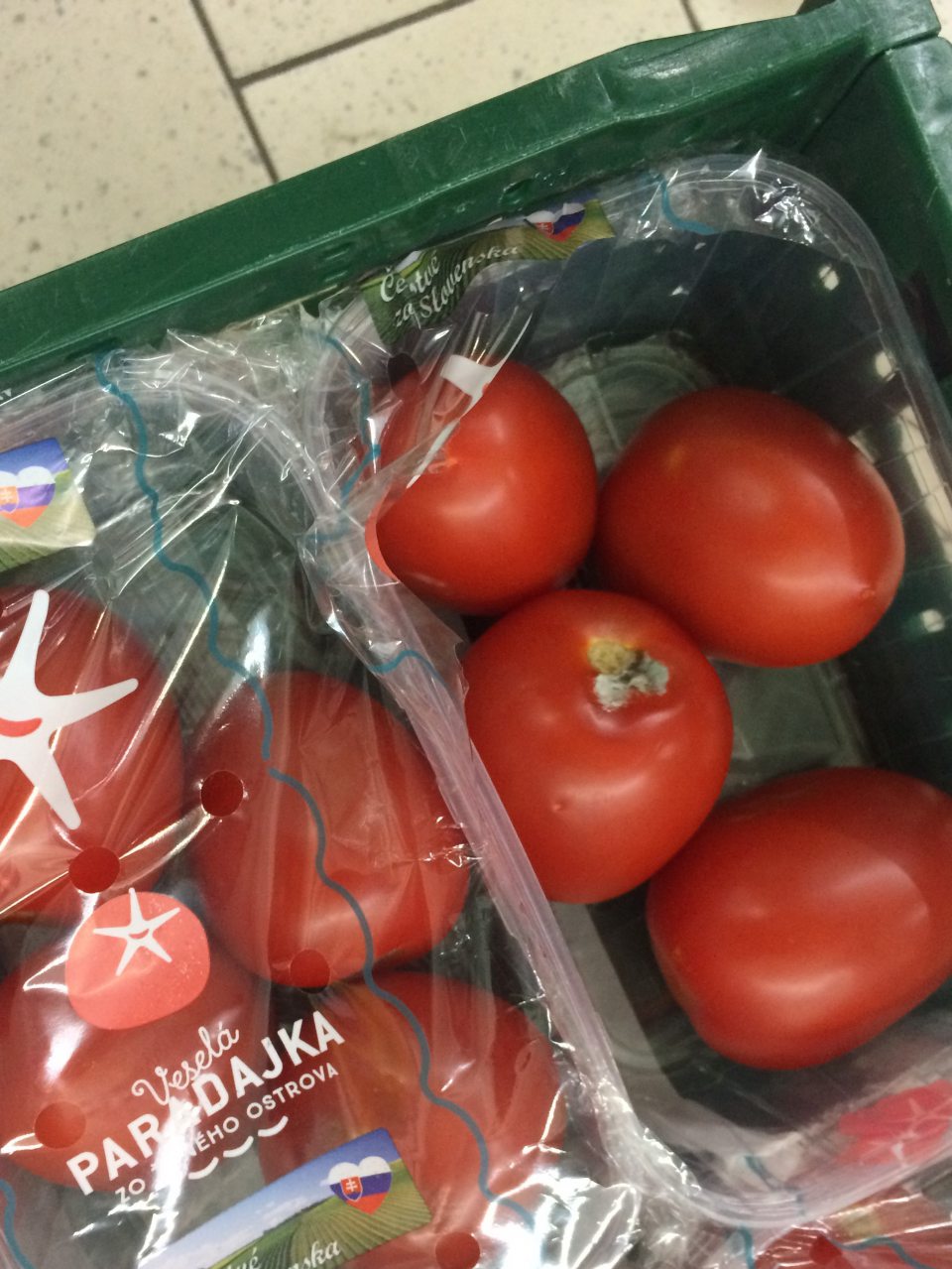 Rajčiaky napadnuté hnilobou a plesňou.