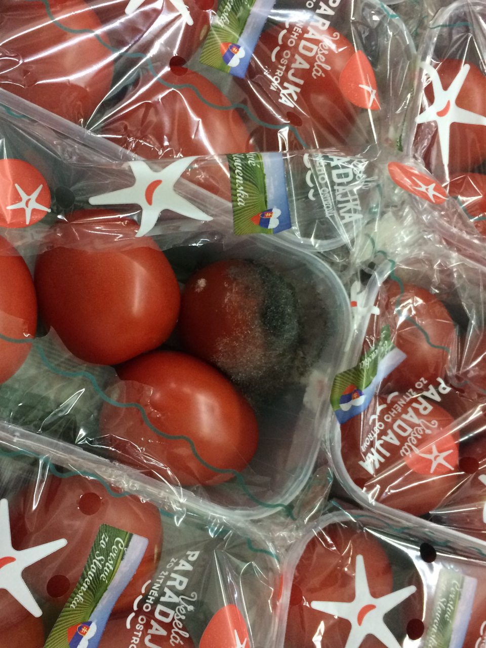 Rajčiaky napadnuté hnilobou a plesňou.