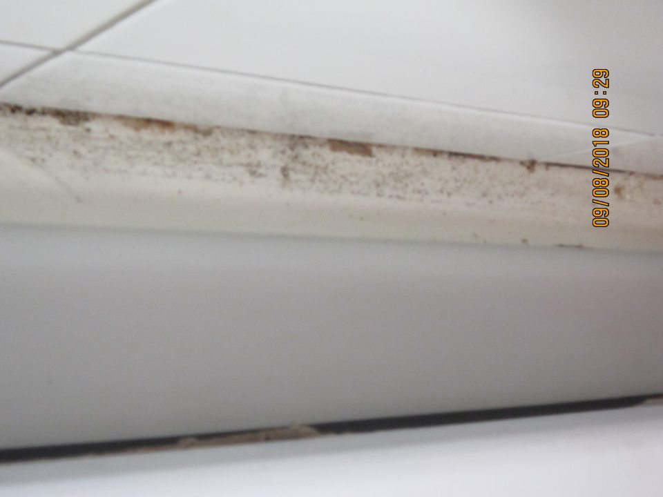 Výskyt čiernej plesne v hornej časti chladiaceho zariadenia s mliečnymi výrobkami.