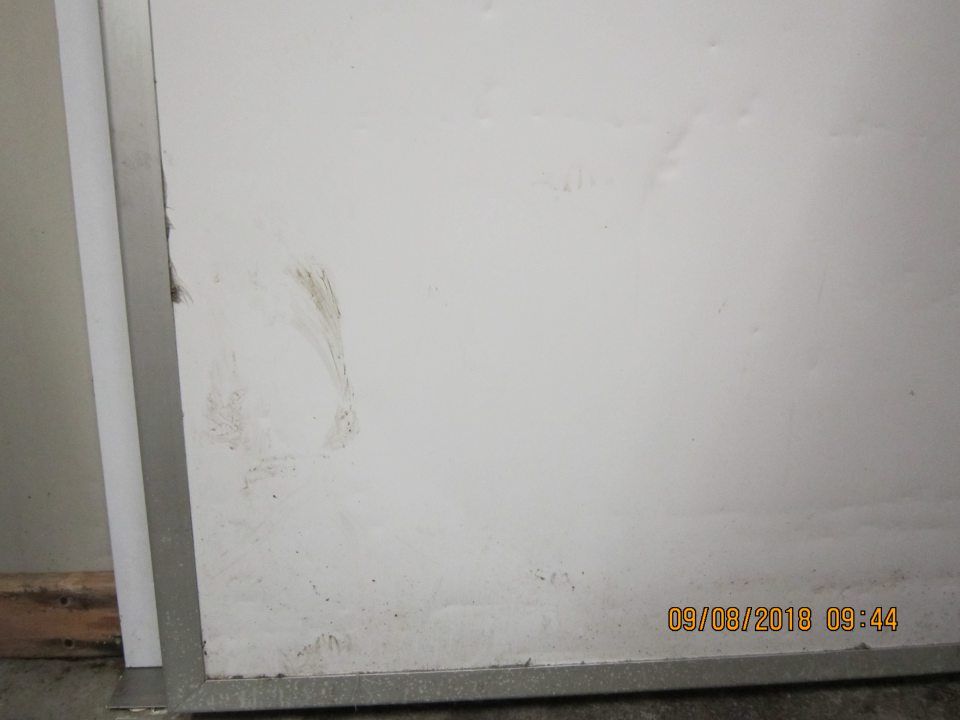 Výskyt čiernej plesne v okrajových bočných častiach dverí, ktoré vedú do tohto mraziaceho boxu.