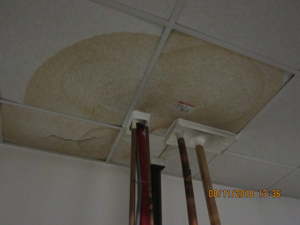 Zatečený strop v sklade potravín. 