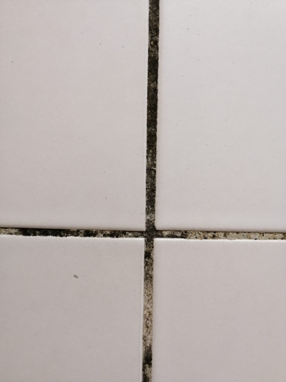 Steny v chladiacom boxe na ovocie a zeleninu znečistené plesňou