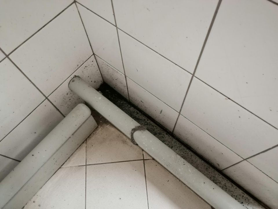 Znečistený obklad stien, kovové zábrany a priestor za zábranami s výskytom plesne v umývárni a sklade prepraviek.